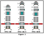 figure 2.jpg