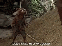 rocket-raccoon-dont-call-me-a-raccoon[1].gif