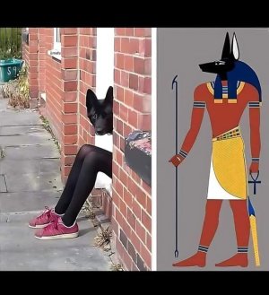 Ancient Egyptian spotted in Glastonbury!.jpg