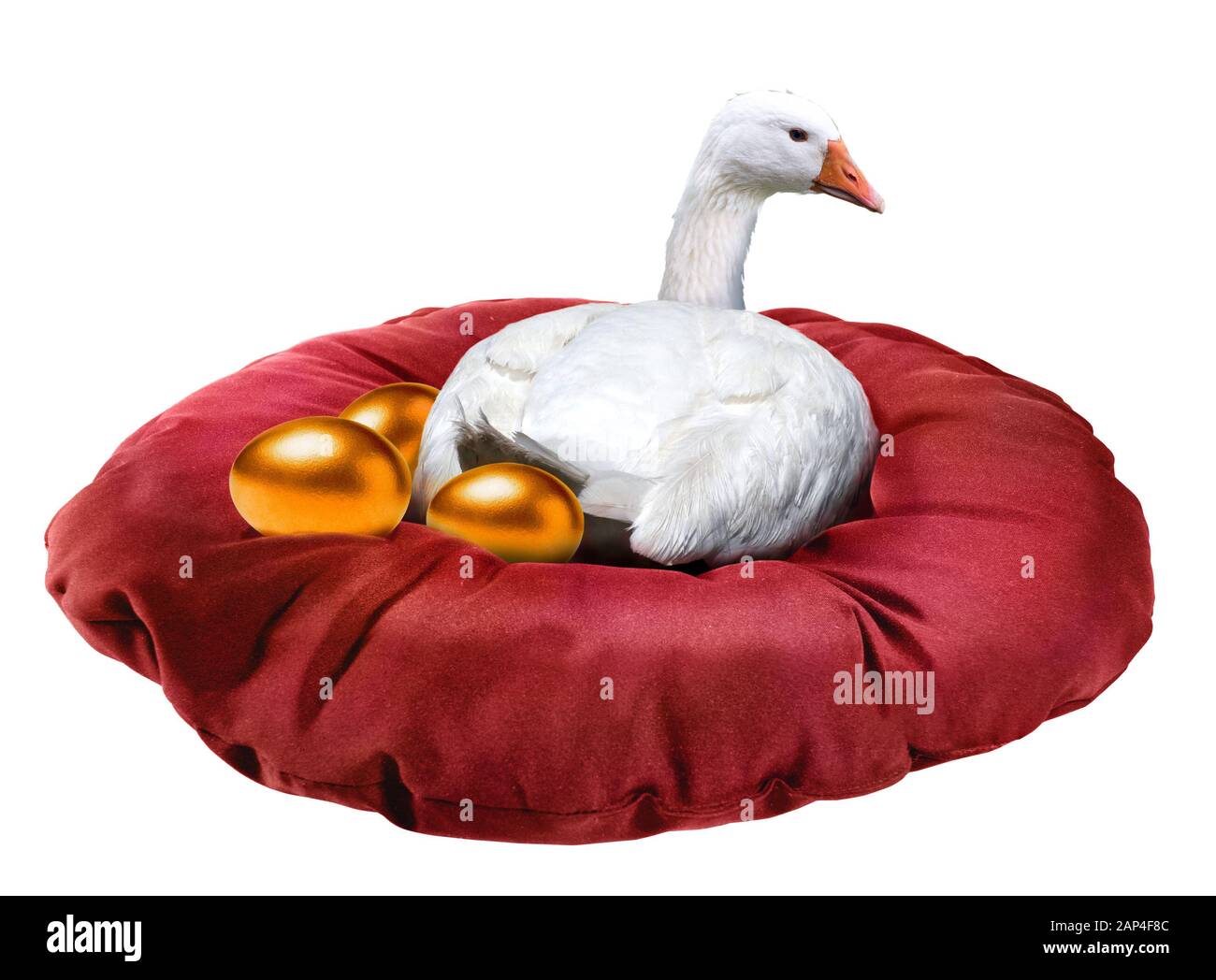 white-goose-laying-golden-eggs-isolated-on-white-background-2AP4F8C.jpg