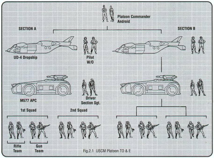 USCM_Platoon_TOandE.jpg